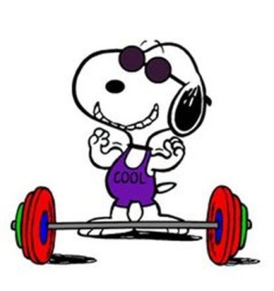 3ece7561cfa96497df6e61d24522b189